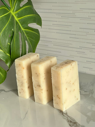 Aloe & Eucalyptus Healing Soap